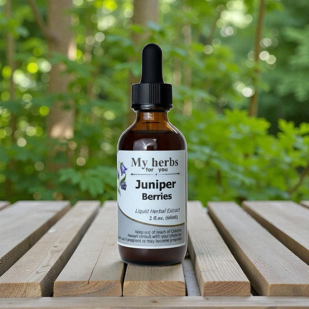 My herbs Juniper Berries bottle on wood table, extract, organic background.