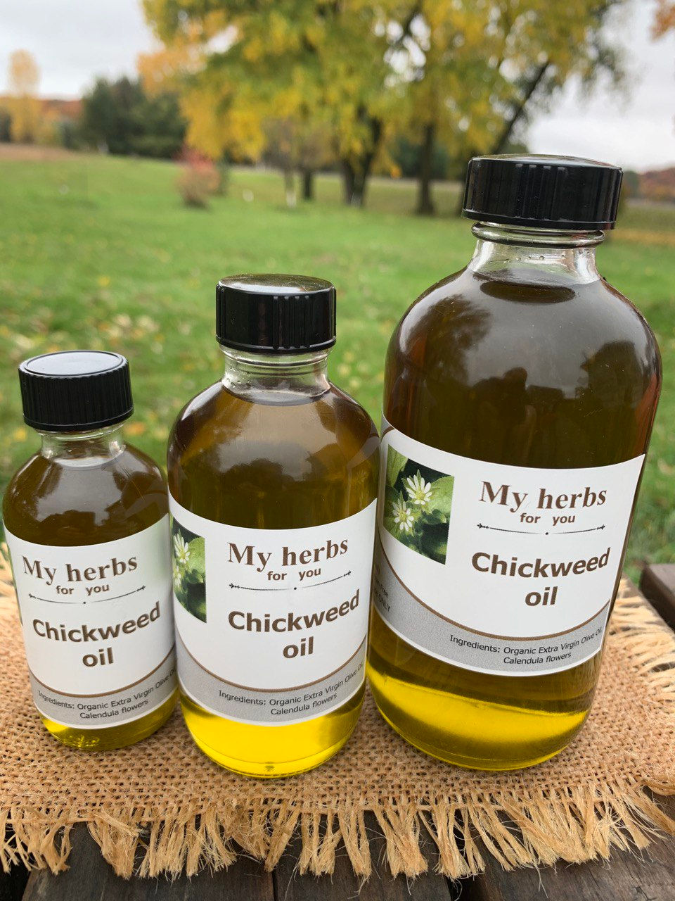 Chickweed Oil, Organic