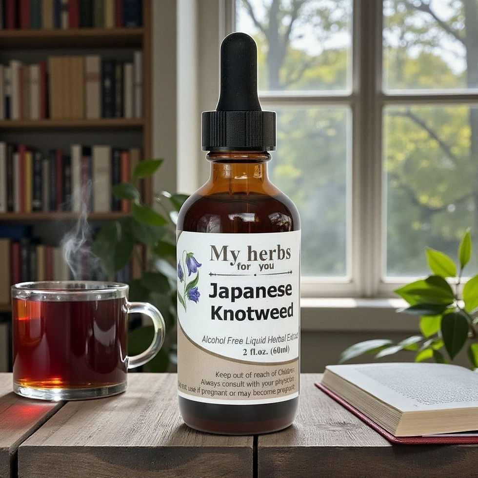 Thumbnail: My herbs for you Japanese Knotweed tincture bottle near window and cup of tea.