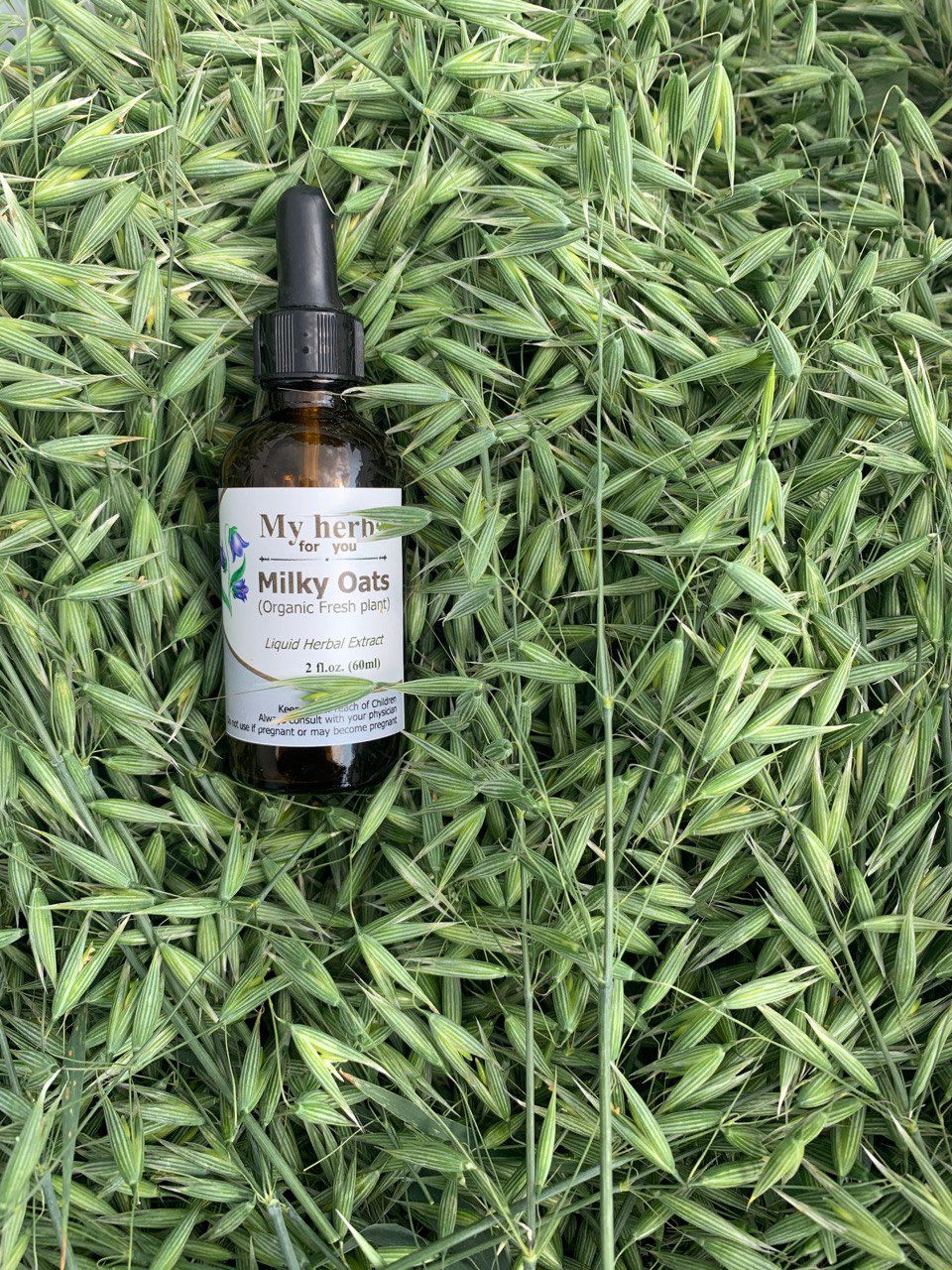 Thumbnail: Milky Oats bottle with dropper, on green foliage, herbal supplement for health.