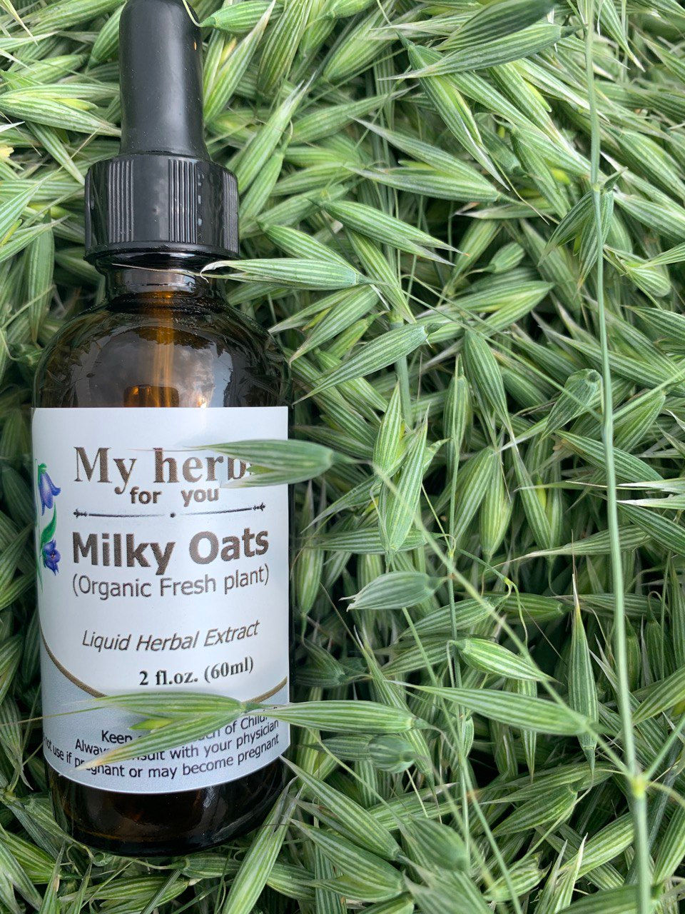 Thumbnail: My hero for you Milky Oats, Organic, Liquid Herbal Extract, with oat background.