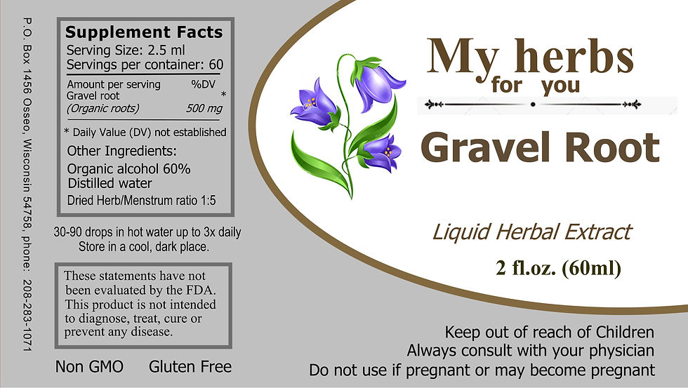 GRAVEL ROOT Tincture, Organic
