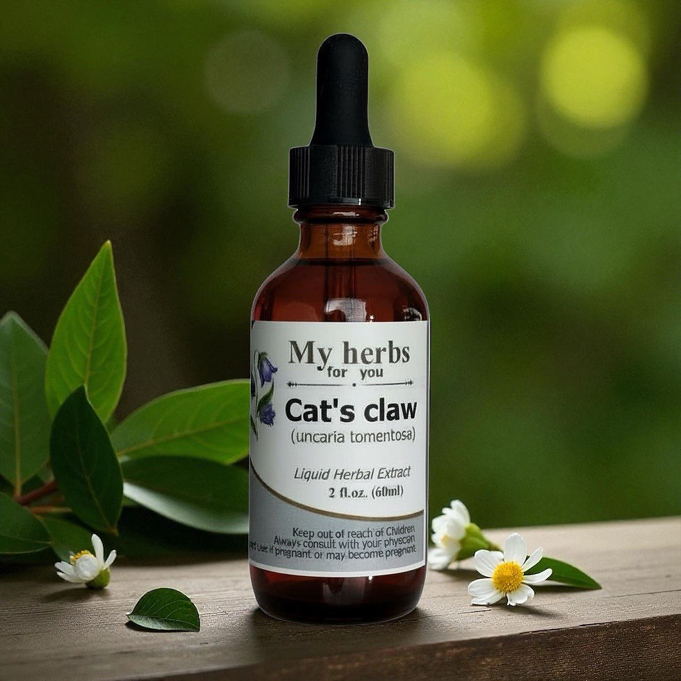 Thumbnail: Cat's claw tincture bottle with visible text and green leaves background.