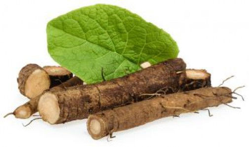 Thumbnail: Close-up of burdock root with leaf, herbal extract - background white.