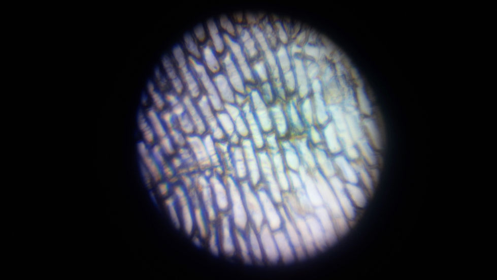 20230929_114945.jpg