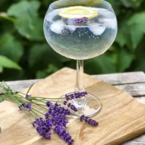 Lavender Lace Gin & Tonic