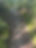IMG_6127.jpeg
