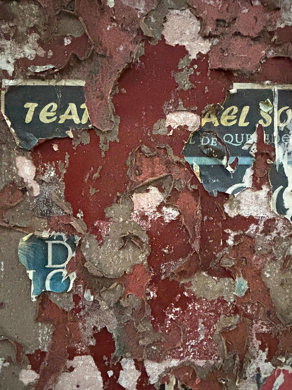 uuid=1336F86C-D4BB-476F-993E-A907D27A9771&code=001&library=1&type=1&mode=2&loc=true&cap=tr