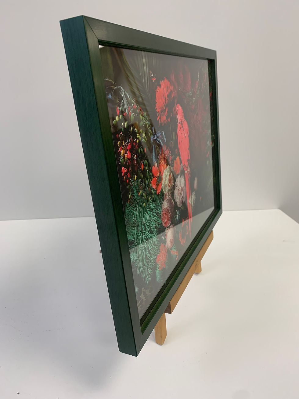 Thumbnail: "Bird Of Paradise" Framed Canvas Print
