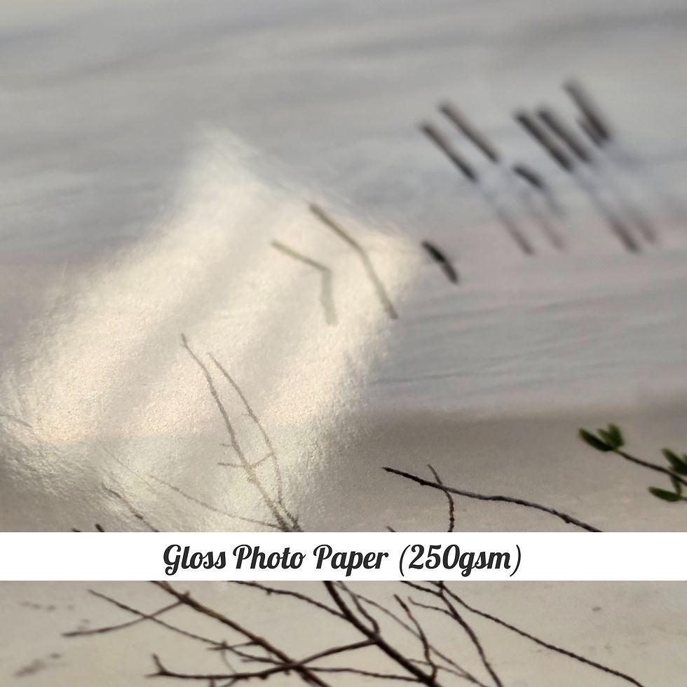 Thumbnail: Prints