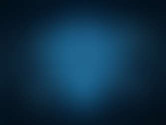 What is security services in information security?