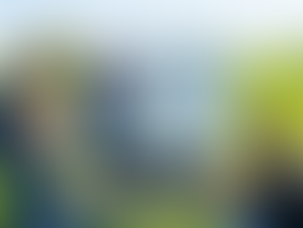 Understanding Greenfield Project Development in Software