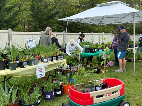 Another Successful Plant and Bake Sale