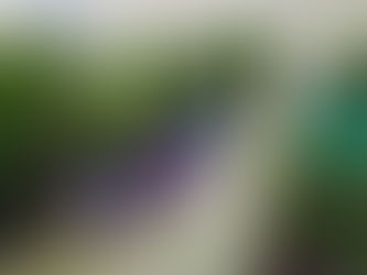 2021 Plant Sale a Success!