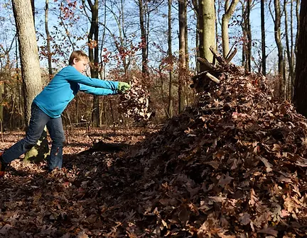 Shelter Building.webp