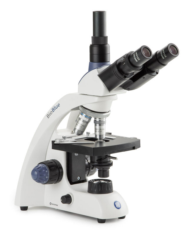 Thumbnail: MicroBlue Microscope