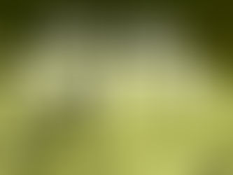 "God Pleasing Faith"