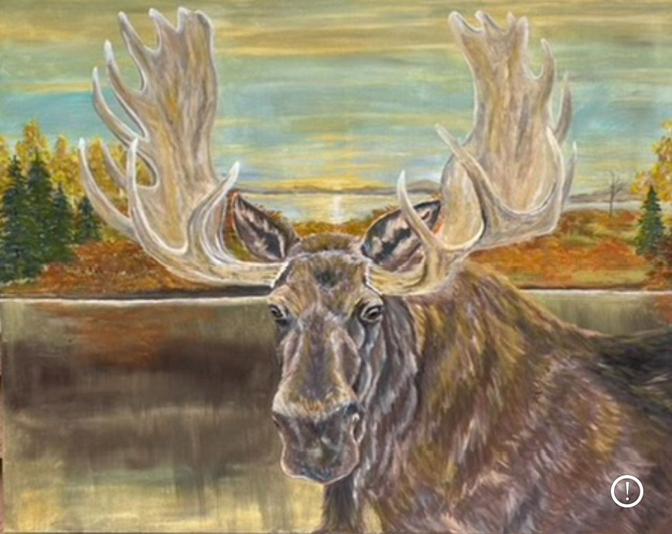 Moose