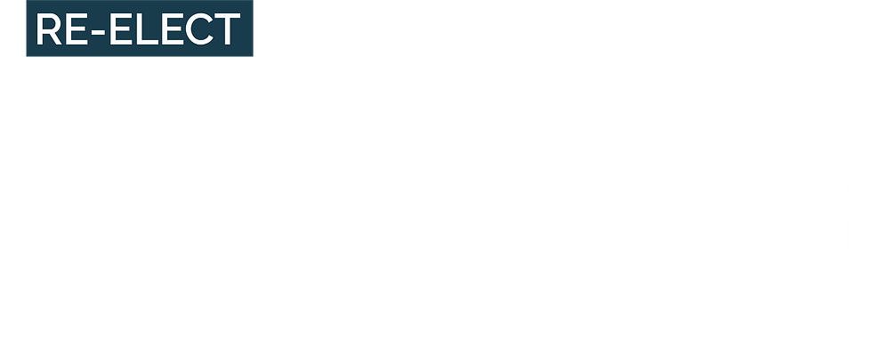 CAMPAIGN LOGO. RE-ELECT.png