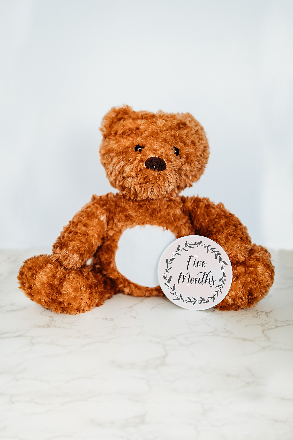 Thumbnail: Bear Watercolor Vine Wreath Monthly Milestone Stuffed Animal
