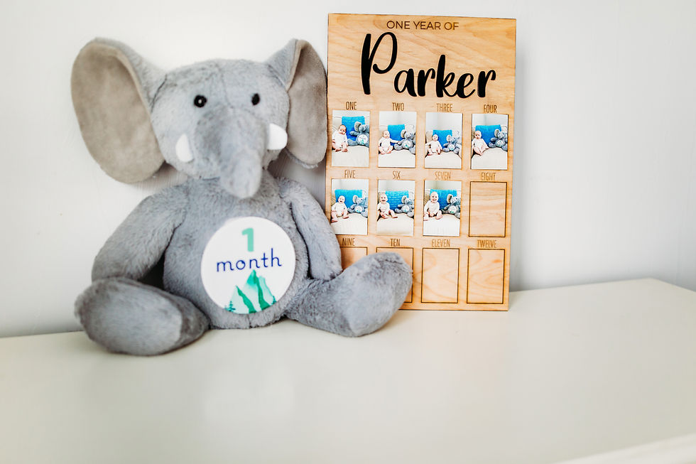 Cursive One Year Photo Board