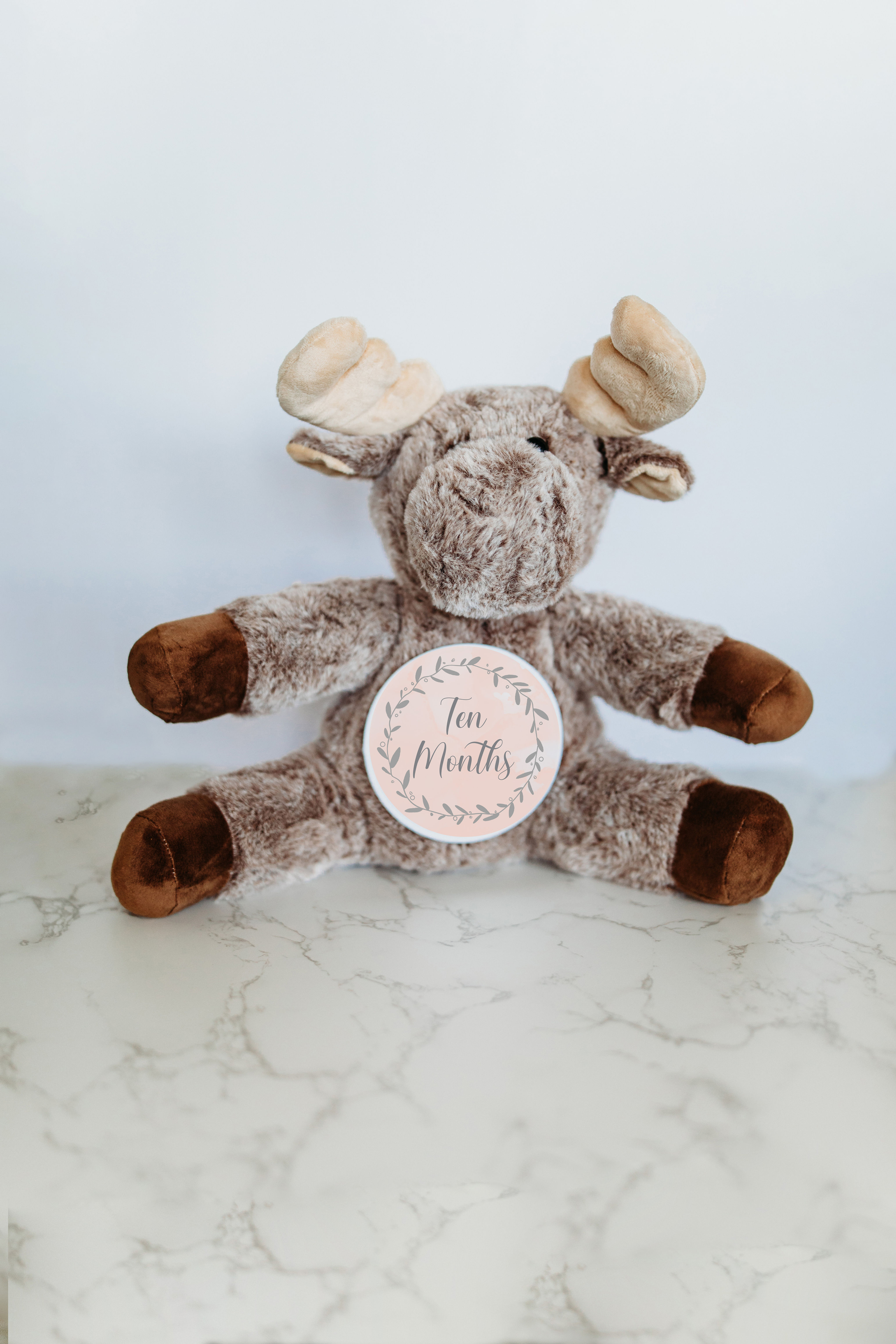 Moose Watercolor Vine Wreath Monthly Milestone Stuffed Animal