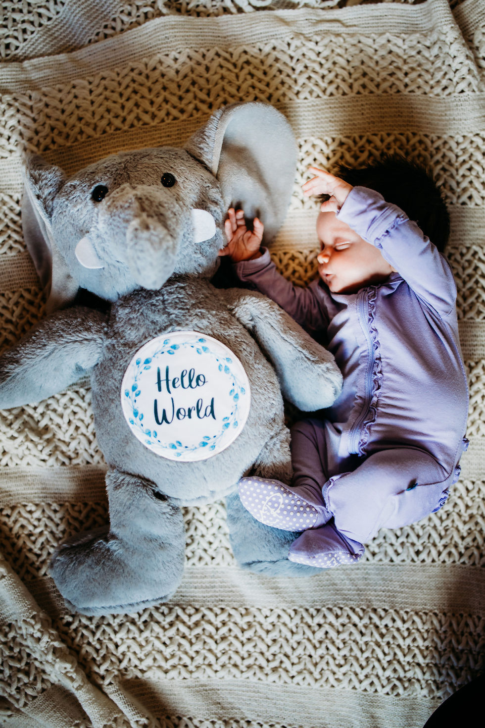 Thumbnail: Elephant Simple Floral Vine Monthly Milestone Stuffed Animal