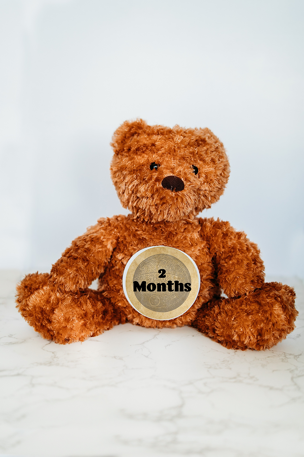 Bear Monthly Milestone Stuffed Animal - Vintage Sports