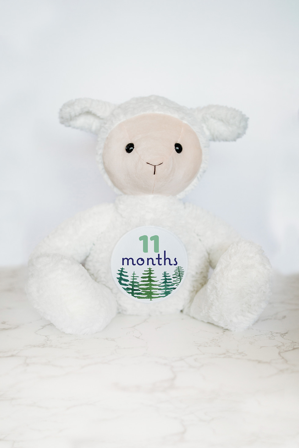 Lamb Adventure Watercolor Mountains Monthly Milestone Stuffed Animal