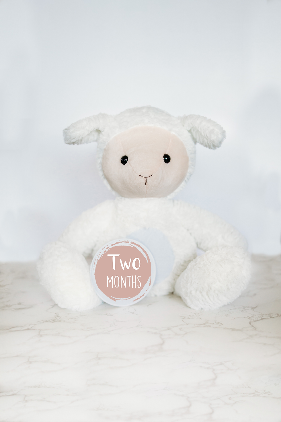 Thumbnail: Lamb Solid Monthly Milestone Stuffed Animal