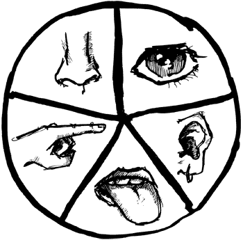 5-senses.gif