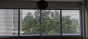 Cat-Proof Sliding Grille