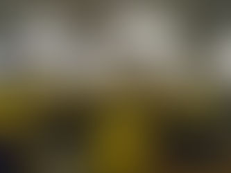 Coronavírus: carteiros do CDD Caruaru suspendem entregas por falta de material de higiene