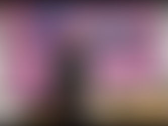 Companheiras de Pernambuco marcam presença no 23ª Encontro de Mulheres