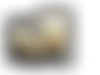 The publisher released the book now!!