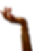 cleopatra hand no bg.png