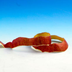 apple peel.jpeg
