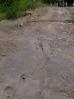 IMG-20110826-00015