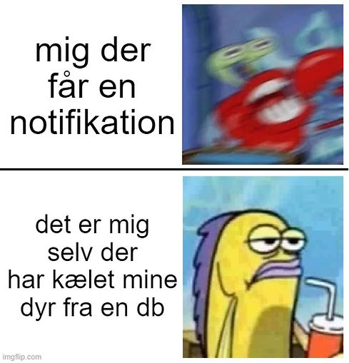 7y05xz.jpg