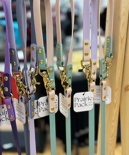 Leashes on display