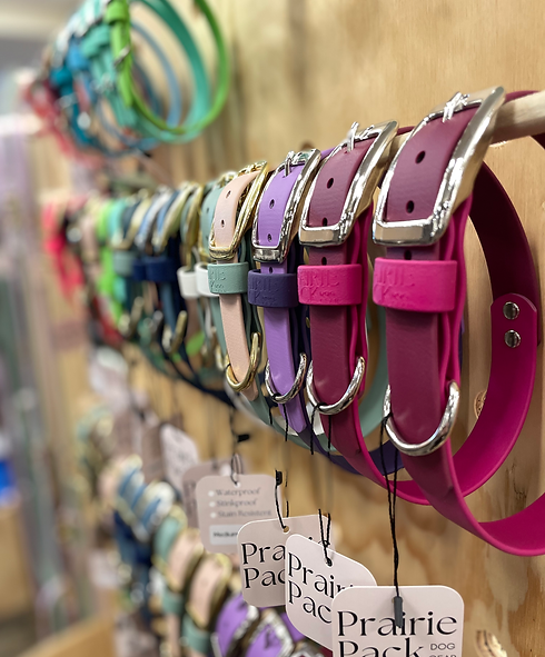 Collars on display