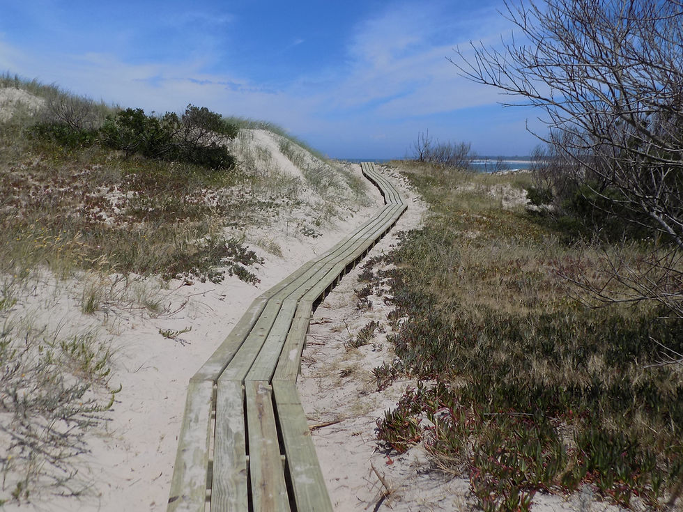 Caminatas en senderos naturales