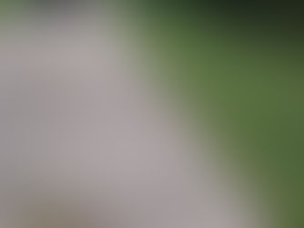 Where I've Been Part 1/3 Update - Back in the US