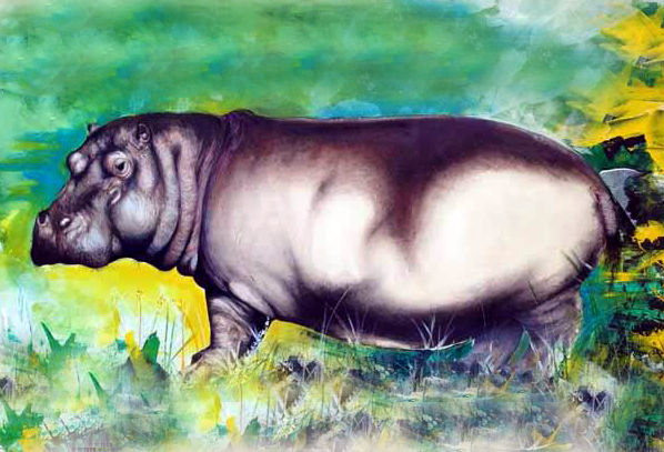 Hippopotamus