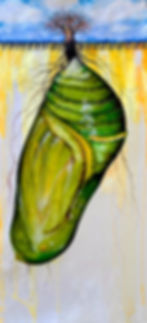 Rooted Ground Monarch Butterfly Cocoon Part 1