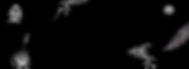 Newsletter sign up background.jpg