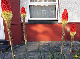 gardens 15 resampled.jpg
