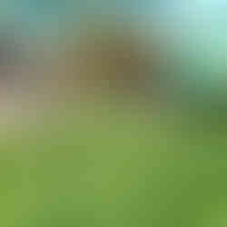 On the Regent's Canal, Islington