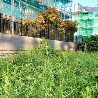 On the Regent's Canal, Islington