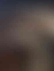 The Albert Memorial in Kensington Gardens, London, is an extraordinary Victorian Gothic work of art, with a rarely seen undercroft